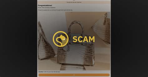 hermes 184 anniversary scam|Fact check: Hermes is not offering .